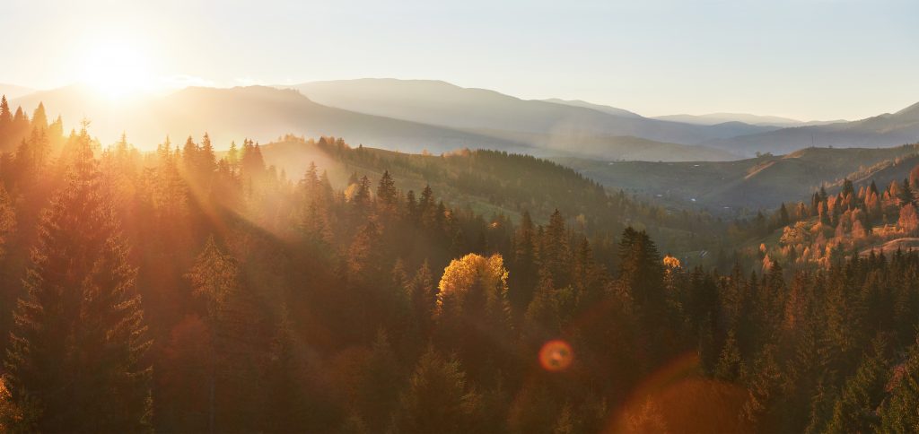 Best Fall Activities in the Black Hills