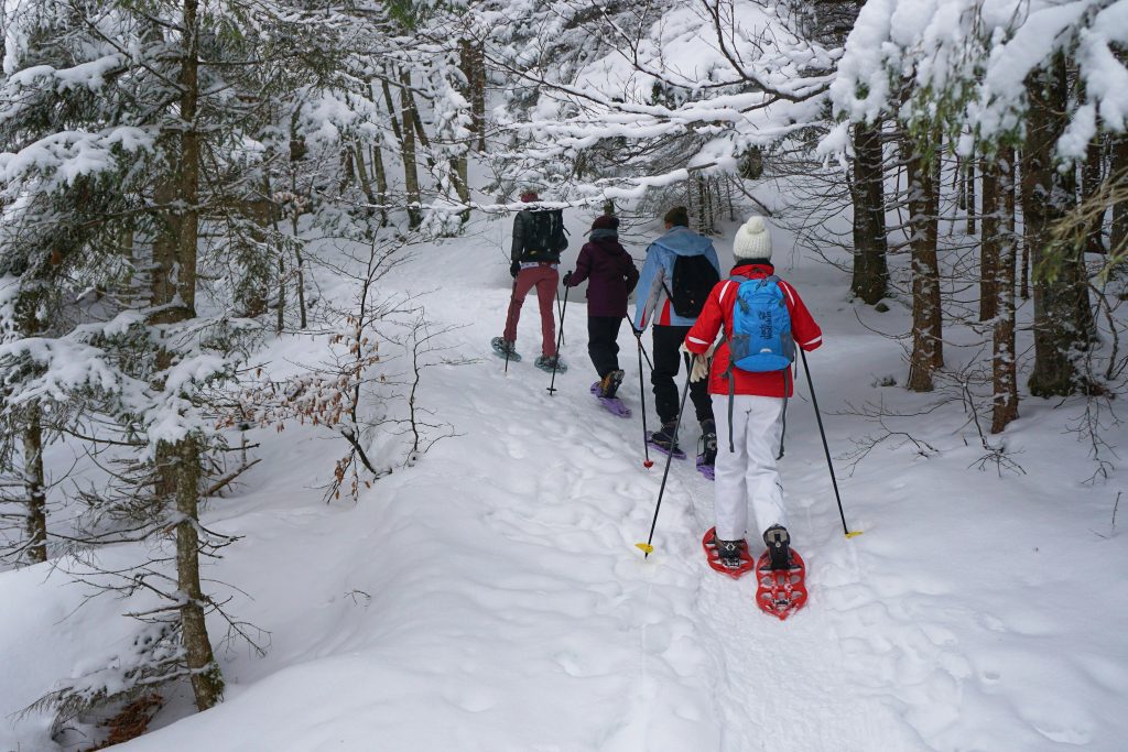 Snowshoeing Deadwood