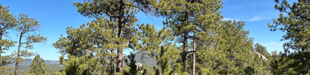 5 Must-Do Hikes Near Four Points by Sheraton
