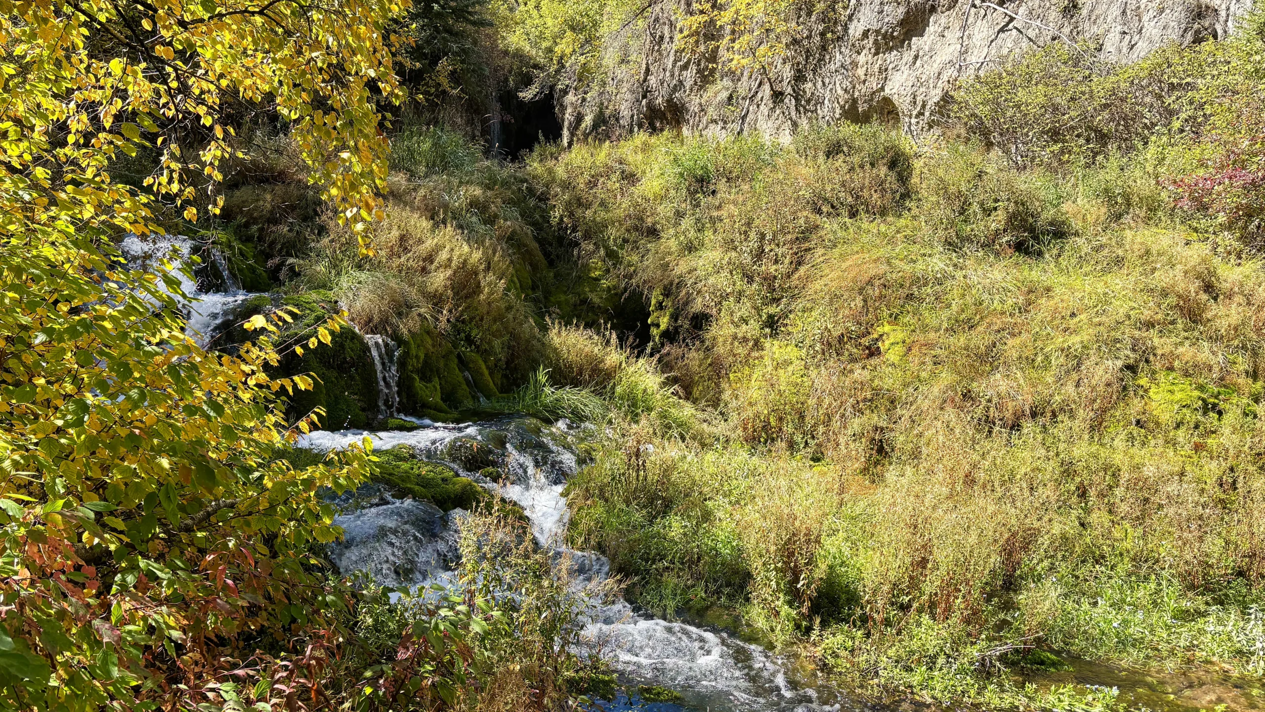 Roughlock Falls in Spearfish Canyon. Spearfish, South Dakota