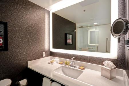 DoubleTree by Hilton | Deadwood Hotels | Guest Restroom